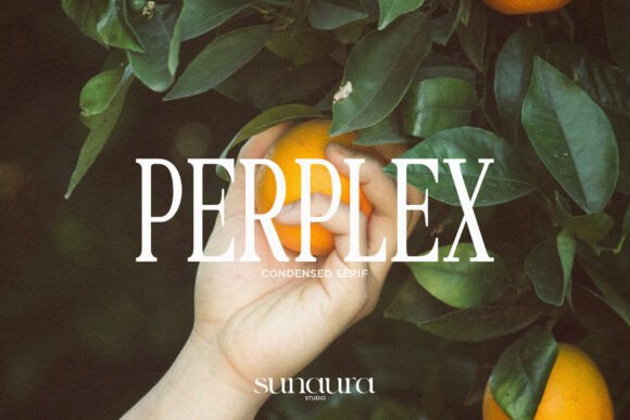 Perplex Font: Stylish Serif for Creative Projects