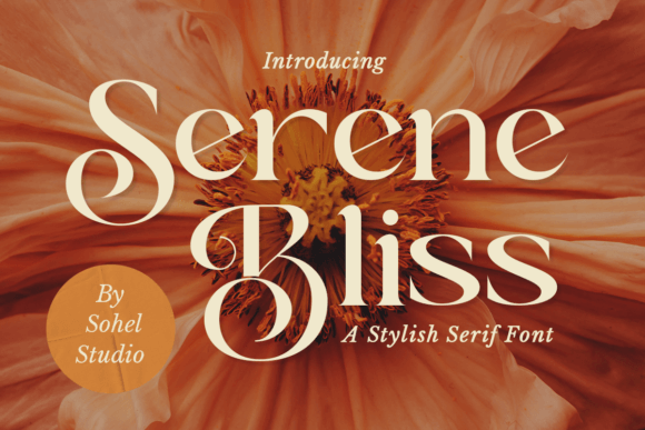 Serene Bliss: A Serif Font for Creative Campaigns